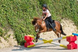 Child show jumping