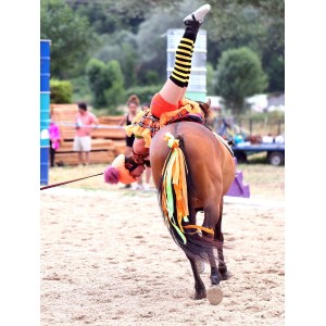 Voltige gymnastics on a pony