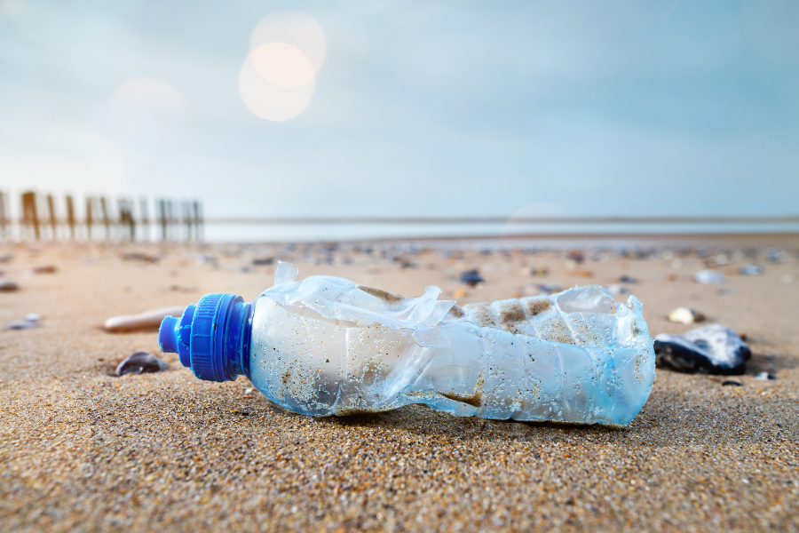 Plastic in the ocean, environmental impact