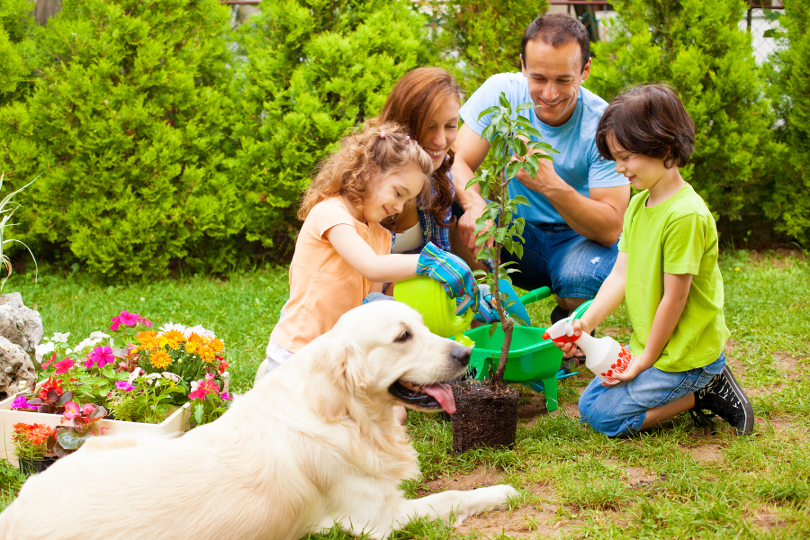 planting with children and parents